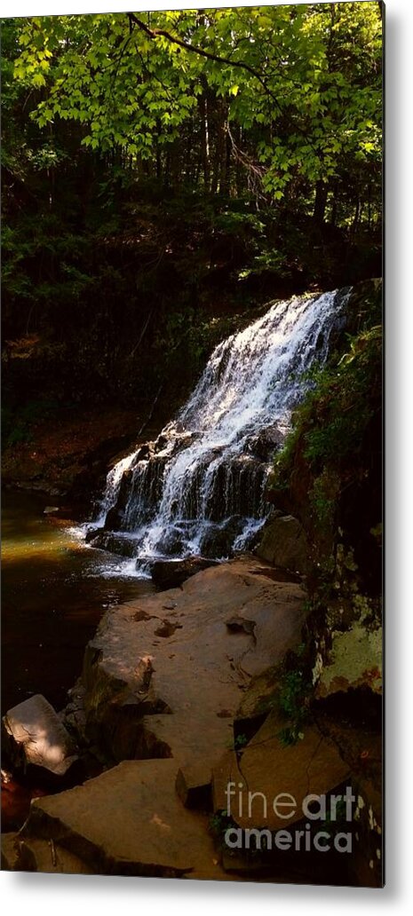  Metal Print featuring the photograph Water path by Raymond Earley