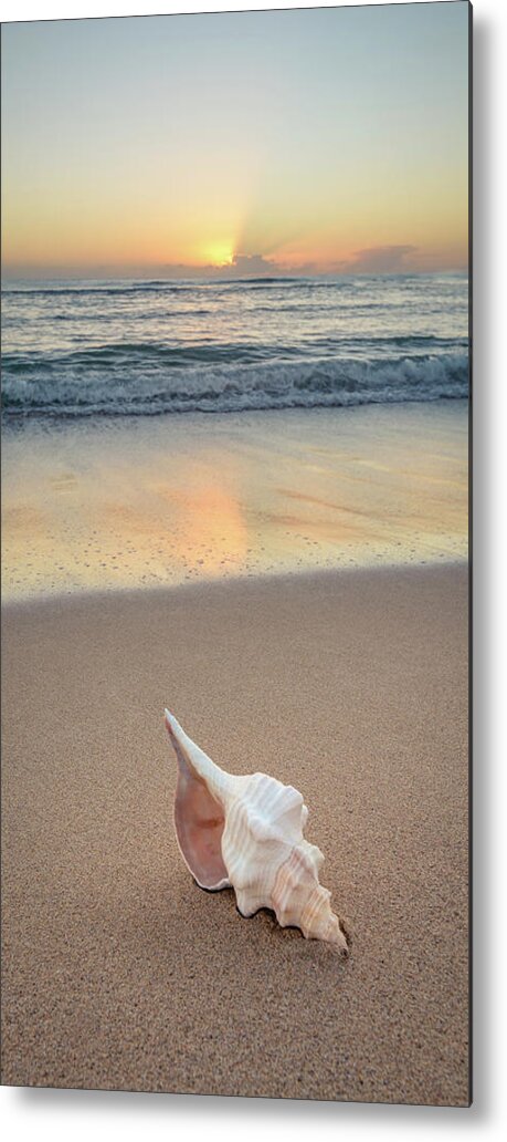 Seashell Metal Print featuring the photograph Beach Drift by Slow Fuse Photography