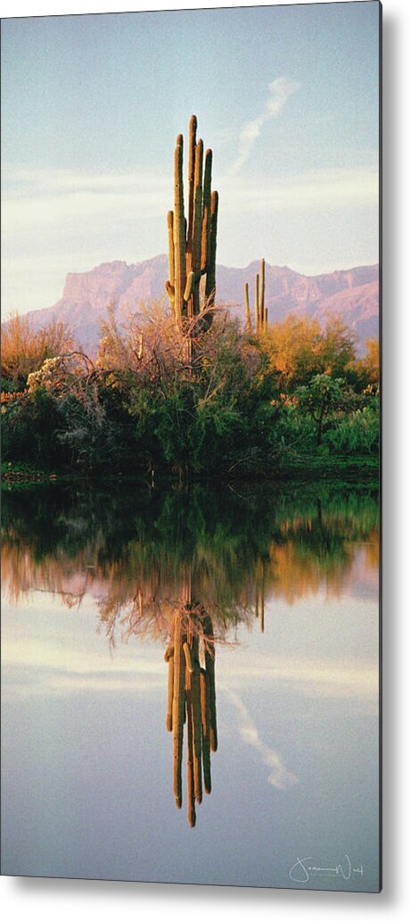 Saguaro Metal Print featuring the photograph Saguaro Reflection Pano by Joanne West