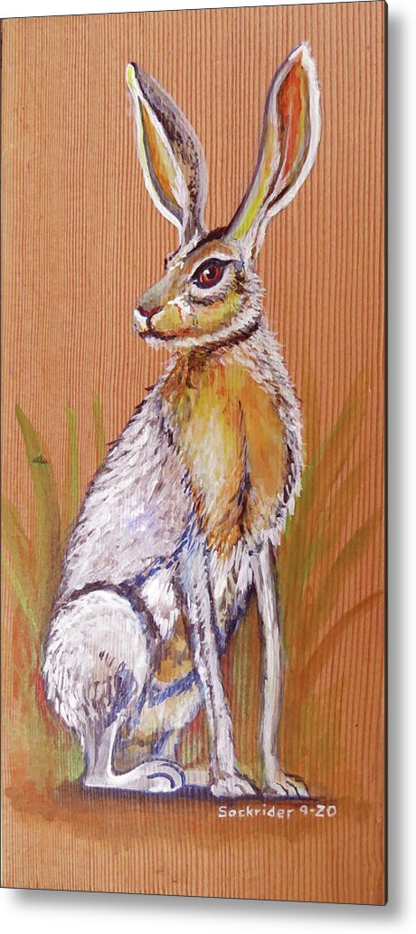 Black-tailed Metal Print featuring the painting Black-tailedJack Rabbits by David Sockrider