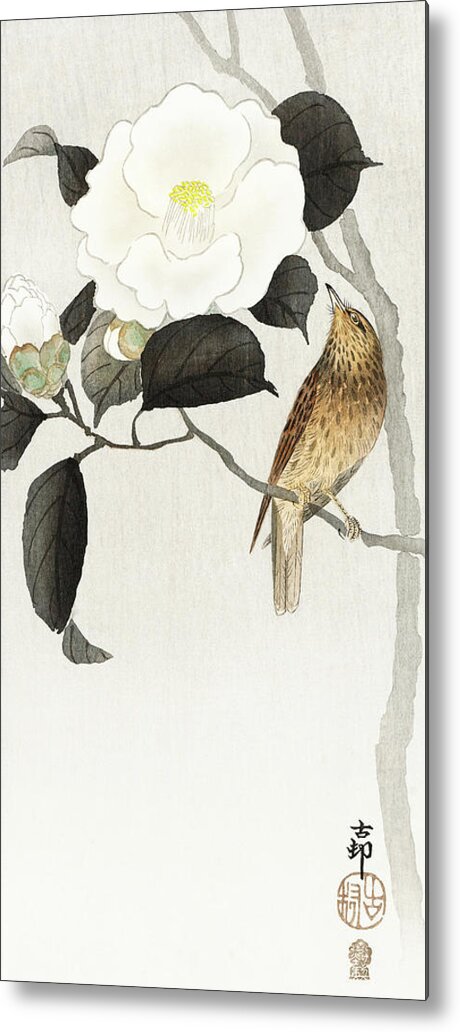 Bird Metal Print featuring the painting Songbird and flowering camellia by Ohara Koson