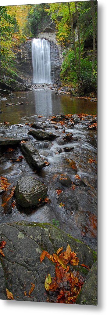 Waterfall Metal Print featuring the photograph Looking Glass Falls #1 by Alan Lenk