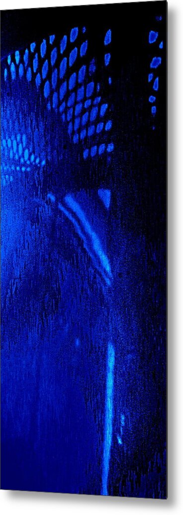 Blue Metal Print featuring the photograph Something Blue by VIVA Anderson