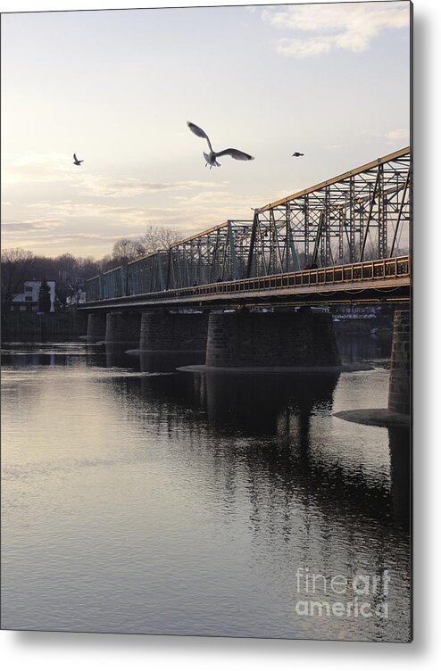 Bridge Metal Print featuring the photograph Gulls at the Bridge in January by Christopher Plummer