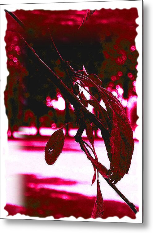  Metal Print featuring the digital art Elements 35 #1 by The Lovelock experience