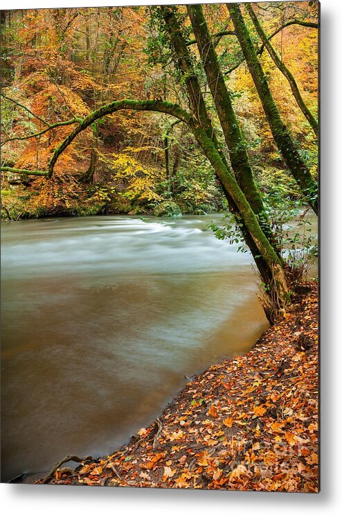 Autumn Metal Print featuring the photograph Irrel Falls #1 by Maciej Markiewicz