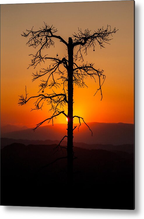 Landscape Metal Print featuring the photograph Serenity #1 by Davorin Mance