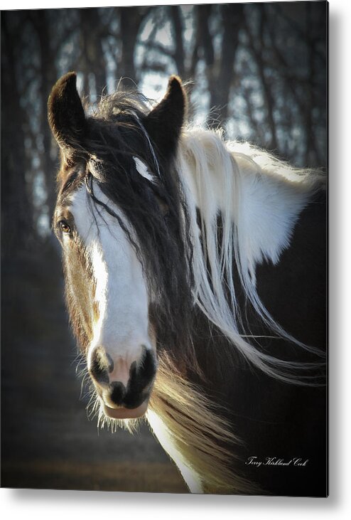 Equine Metal Print featuring the photograph The Beautiful Wind #1 by Terry Kirkland Cook