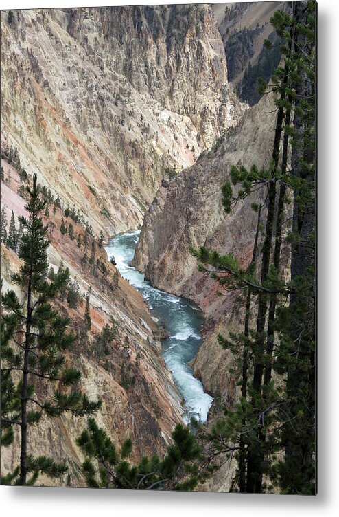 Yellowstone National Park Metal Print featuring the photograph The Canyon #1 by Laurel Powell
