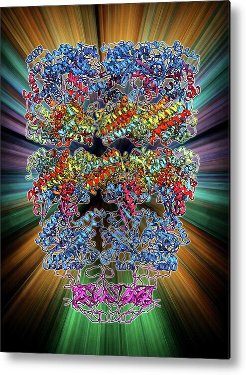 Adp7 Metal Print featuring the photograph Chaperonin Protein Complex #2 by Laguna Design