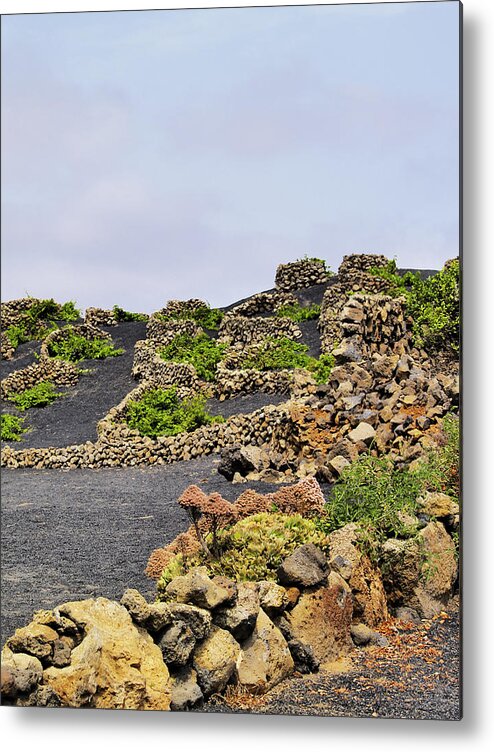 Vineyard Metal Print featuring the photograph Vineyard on Lanzarote #3 by Karol Kozlowski