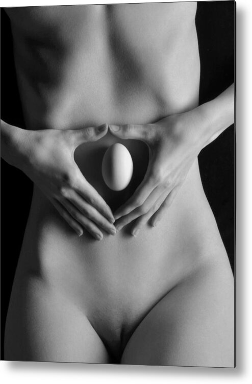 Nude Metal Print featuring the photograph 3702 Perfect Egg on Nude Female Torso by Chris Maher