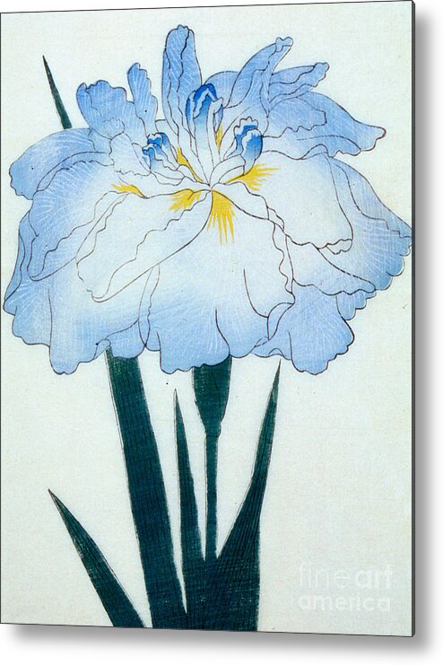 Floral Metal Print featuring the painting Japanese Flower by Japanese School