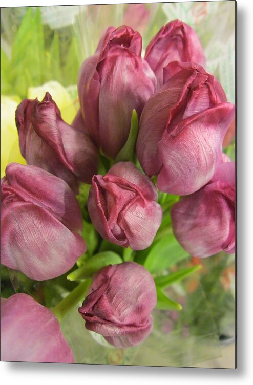 Tulips Metal Print featuring the photograph A Cool Bouquet by Rosita Larsson