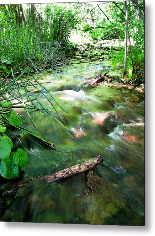 Flowing River Metal Print featuring the photograph A River Runs Through by Lisa Chorny