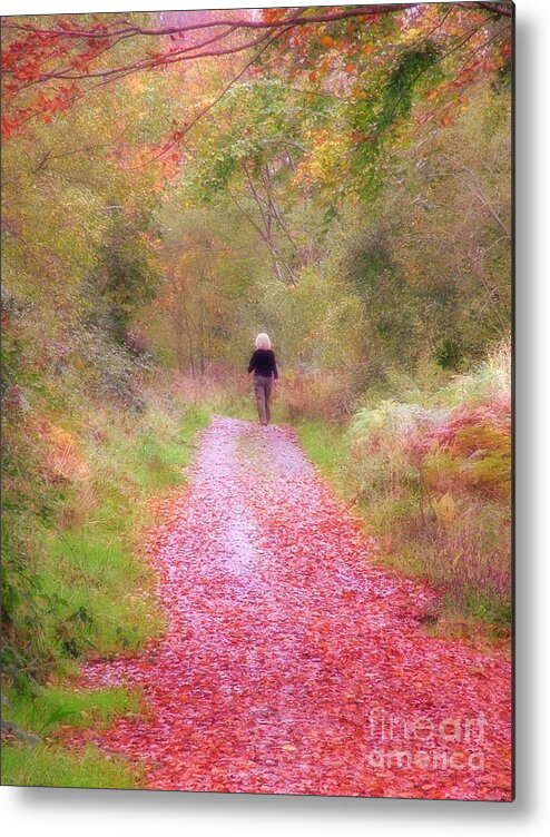 Autumn Metal Print featuring the photograph A walk in Autumn by Joe Cashin