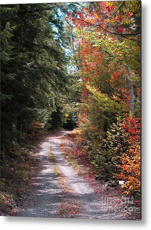 Autumn Metal Print featuring the photograph All Roads Lead Here by Linda Marcille