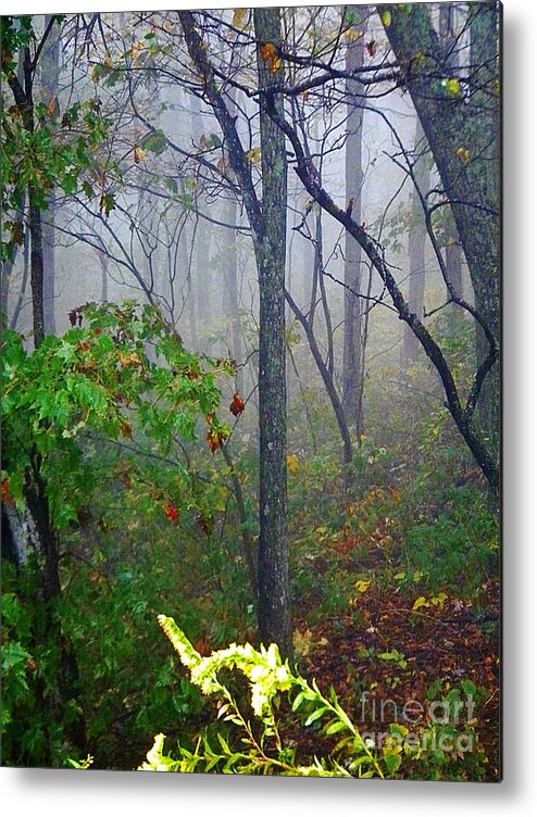 Forest Metal Print featuring the photograph Alone But Not Lonely by Lorraine Heath