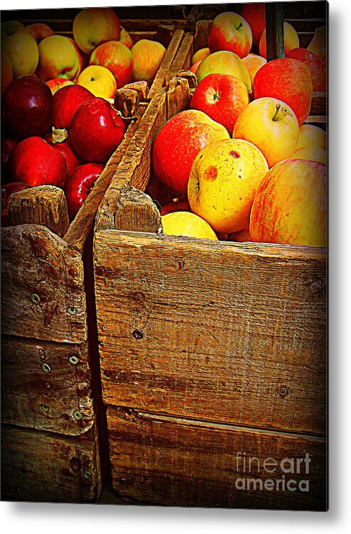 Fruitstand Metal Print featuring the photograph Apples in Old Bin by Miriam Danar