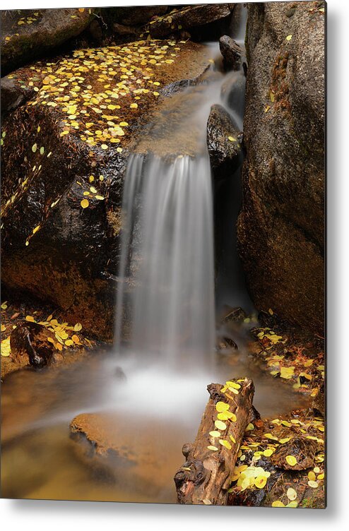 Idaho Scenics Metal Print featuring the photograph Autumn Gold and Waterfall by Leland D Howard
