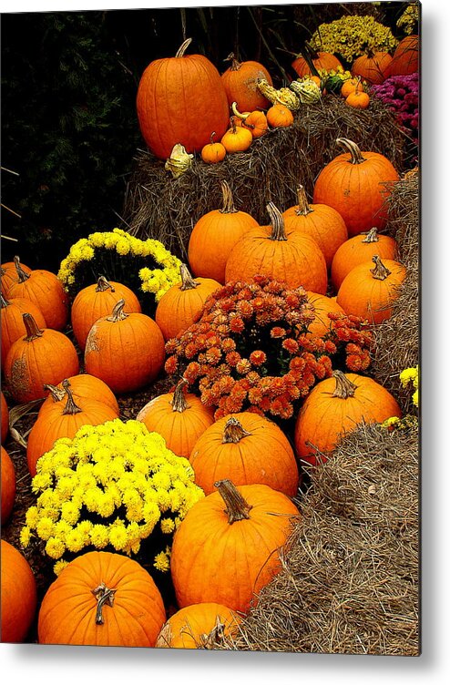 Fine Art Metal Print featuring the photograph Autumn harvest 6 by Rodney Lee Williams