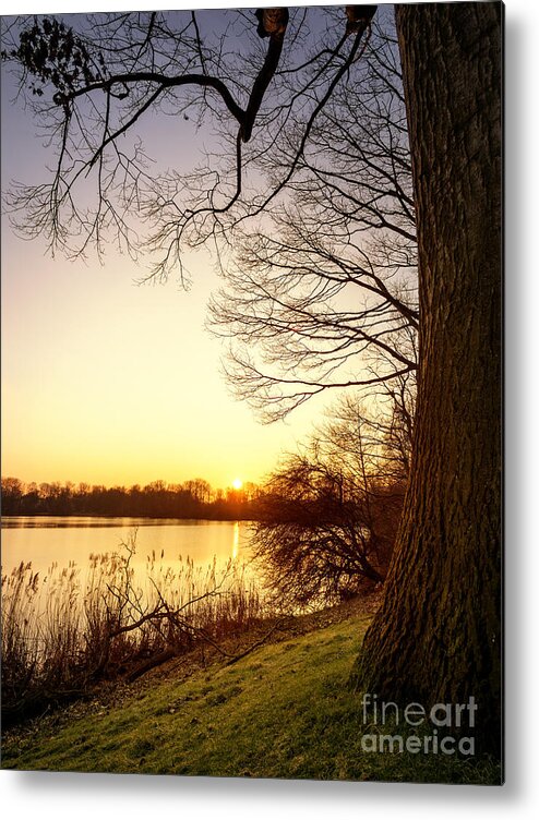 Sunset Metal Print featuring the photograph Beautiful Lake by Daniel Heine