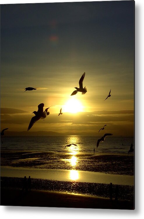 Natural Metal Print featuring the photograph Birds Gathering at Sunset by Steve Kearns