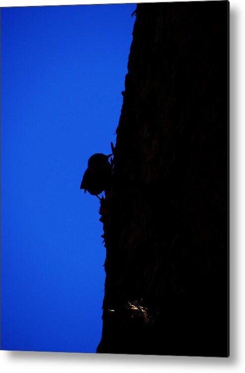 Graphic Art Metal Print featuring the photograph Black and Blue - Graphic by Tom DiFrancesca