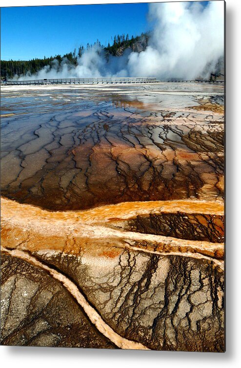 Midway Geyser Basin Metal Print featuring the photograph Branches of Life by Tranquil Light Photography