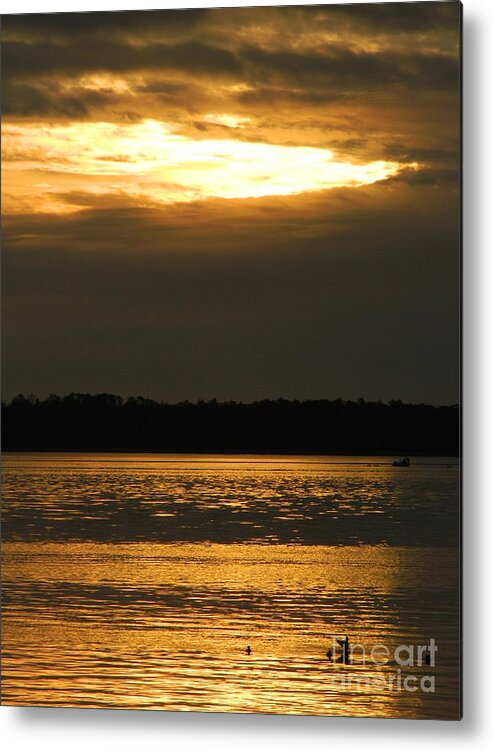 Nature Metal Print featuring the photograph Bright Peacefulness by Gallery Of Hope 