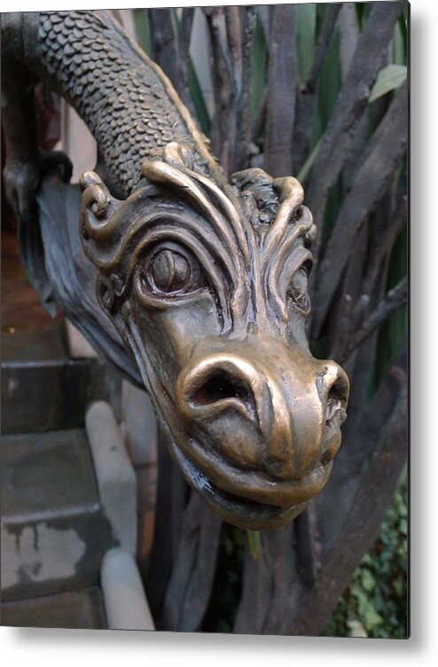 Bronze Metal Print featuring the photograph Bronze Dragon by Richard Reeve