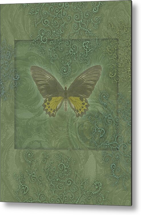 Alixandra Mullins Metal Print featuring the photograph Butterfly Greens by MGL Meiklejohn Graphics Licensing
