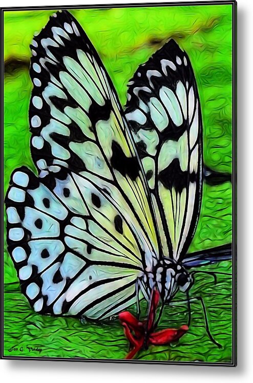 Butterfly Metal Print featuring the painting Butterfly on A Lily Pad by Jon Volden
