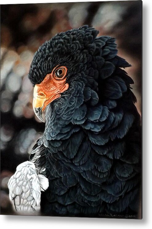 Bird Metal Print featuring the painting Cameron by Linda Becker