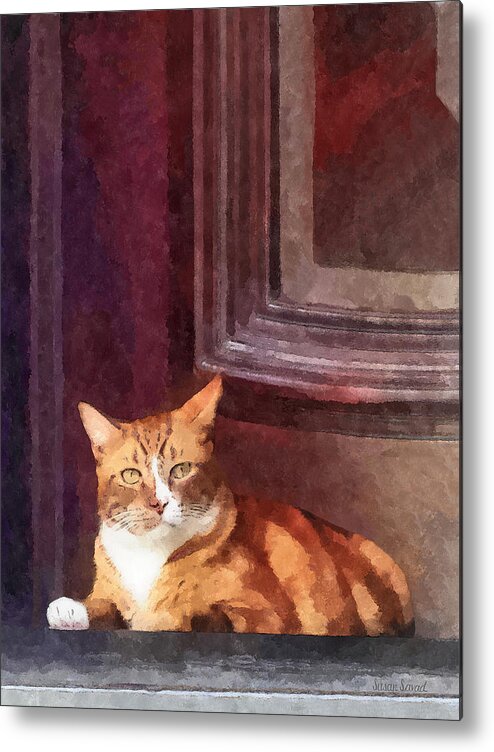 Cat Metal Print featuring the photograph Cats - Orange Tabby in Doorway by Susan Savad