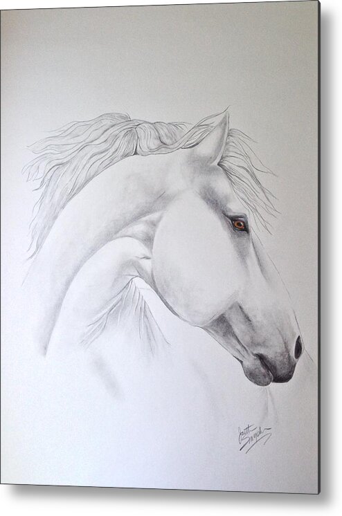 Horse. Horse Art Metal Print featuring the drawing Cavallo by Joette Snyder