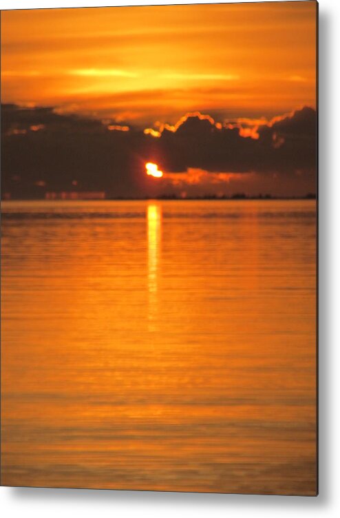 Sky Metal Print featuring the photograph Charleston Morning Sunrise by Joetta Beauford