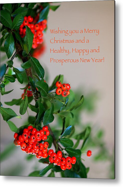 Christmas Card Metal Print featuring the photograph Christmas Wishes by Annette Hugen