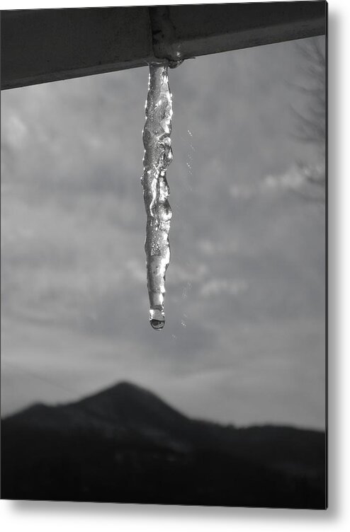  Metal Print featuring the photograph Cicle Drop by Hominy Valley Photography
