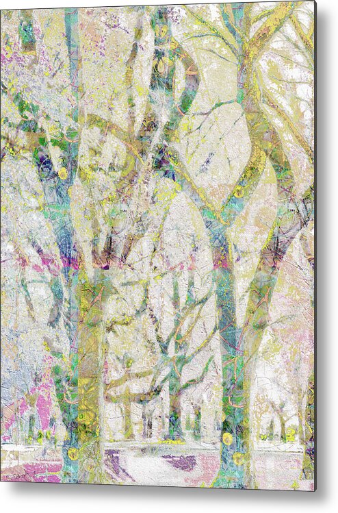 Trees Metal Print featuring the photograph Collage of Trees by Gabrielle Schertz