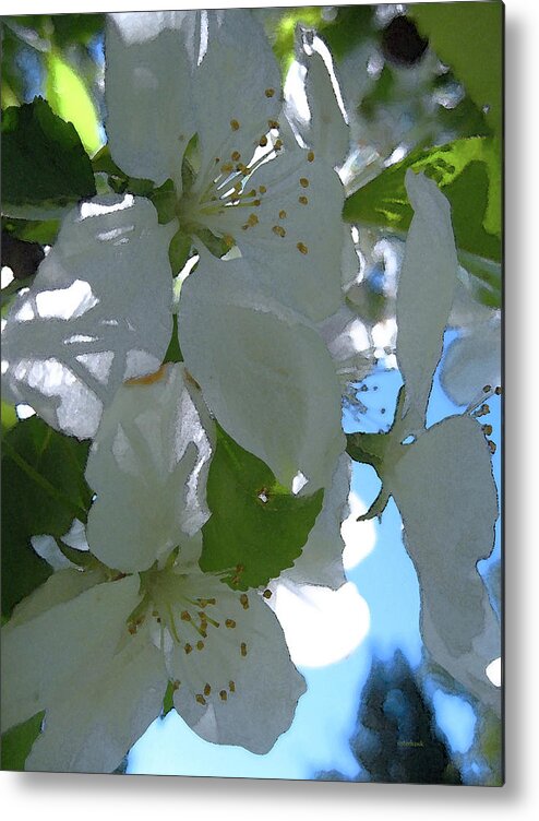 Tree Metal Print featuring the photograph Crabapple Day by Kathy Bassett
