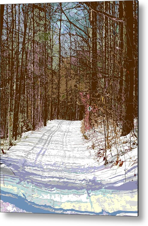 Winter Metal Print featuring the photograph Cross Country Trail by Nina Silver