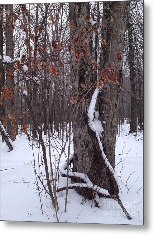 Snow Metal Print featuring the photograph Cuddle Up by Valerie Shaffer