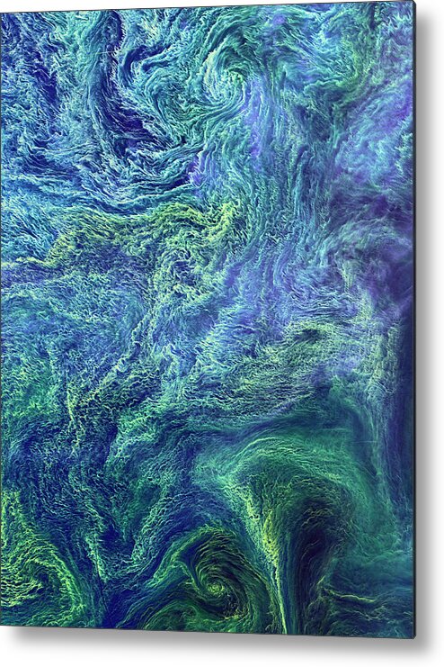Nobody Metal Print featuring the photograph Cyanobacteria Bloom by Nasa