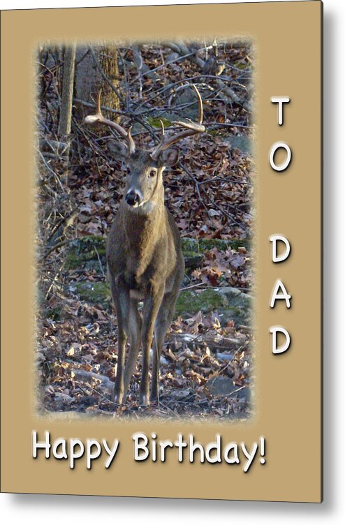 Dad Metal Print featuring the photograph Dad Birthday Greeting Card - Whitetail Deer Buck by Carol Senske