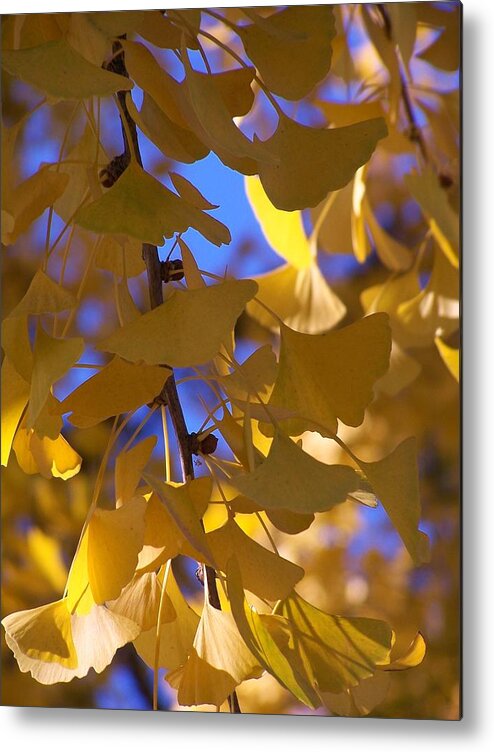 Yellow Metal Print featuring the photograph Delicate yellow by Jewels Hamrick