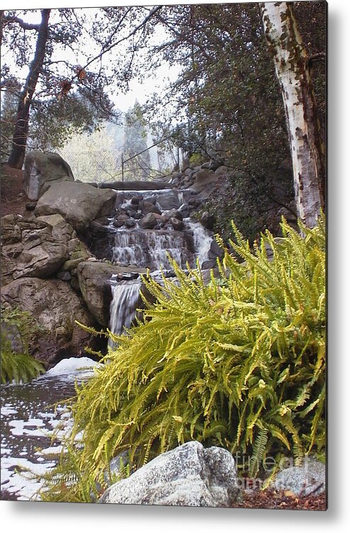 Photo Metal Print featuring the photograph Descanso Gardens 1 by Laura Hamill