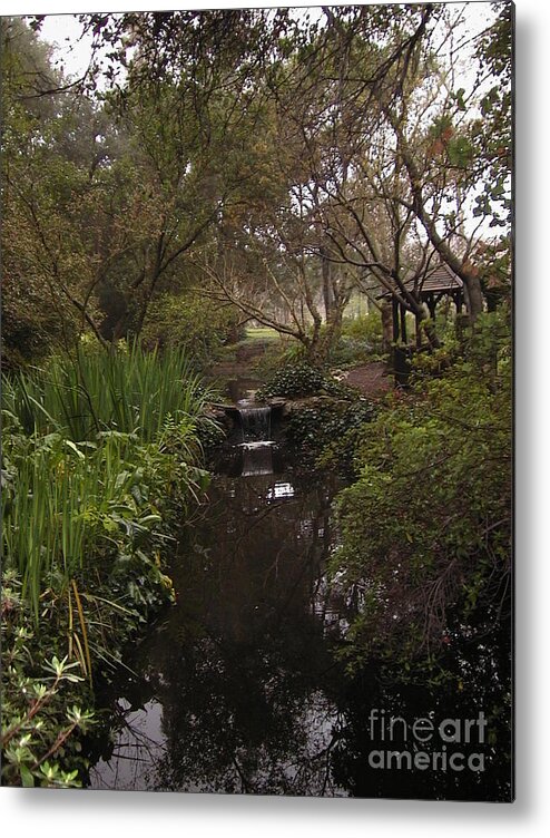 Gardens Metal Print featuring the photograph Descanso Gardens 2 by Laura Hamill