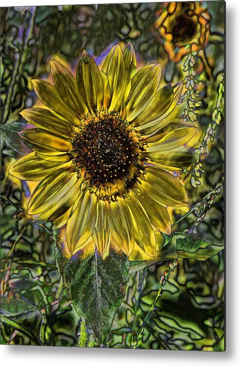 Sunflower Metal Print featuring the digital art Digital Painting Series Sunflower Brilliant by Cathy Anderson