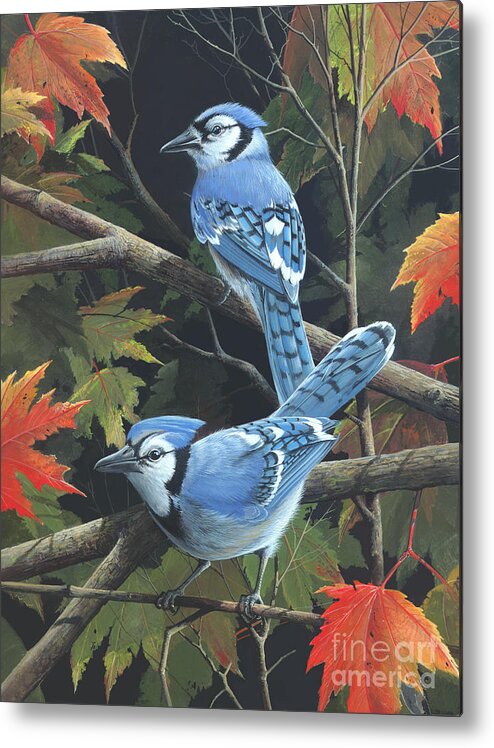 Jay Birds Metal Print featuring the painting Double Trouble by Mike Brown